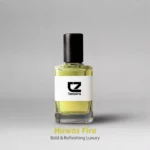 HAWAS FIRE (OIL)
